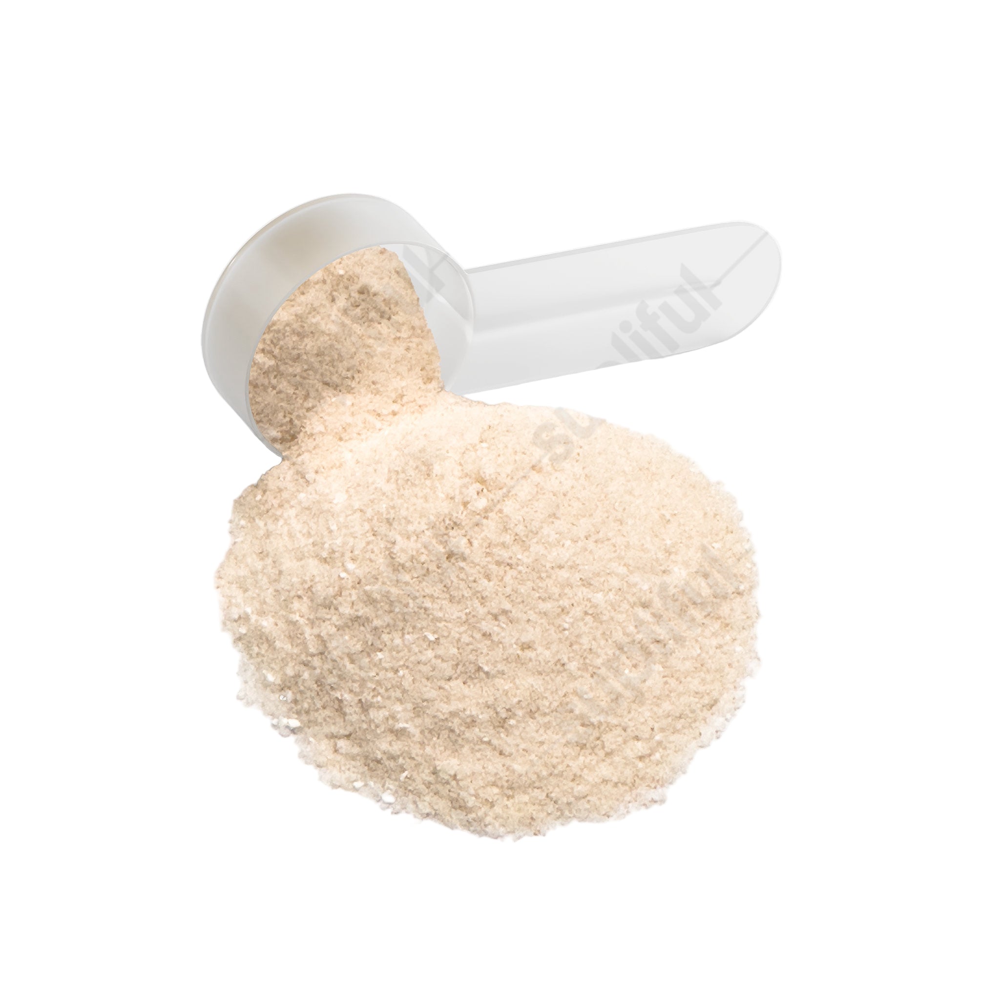 Hydration Powder (Lemonade)