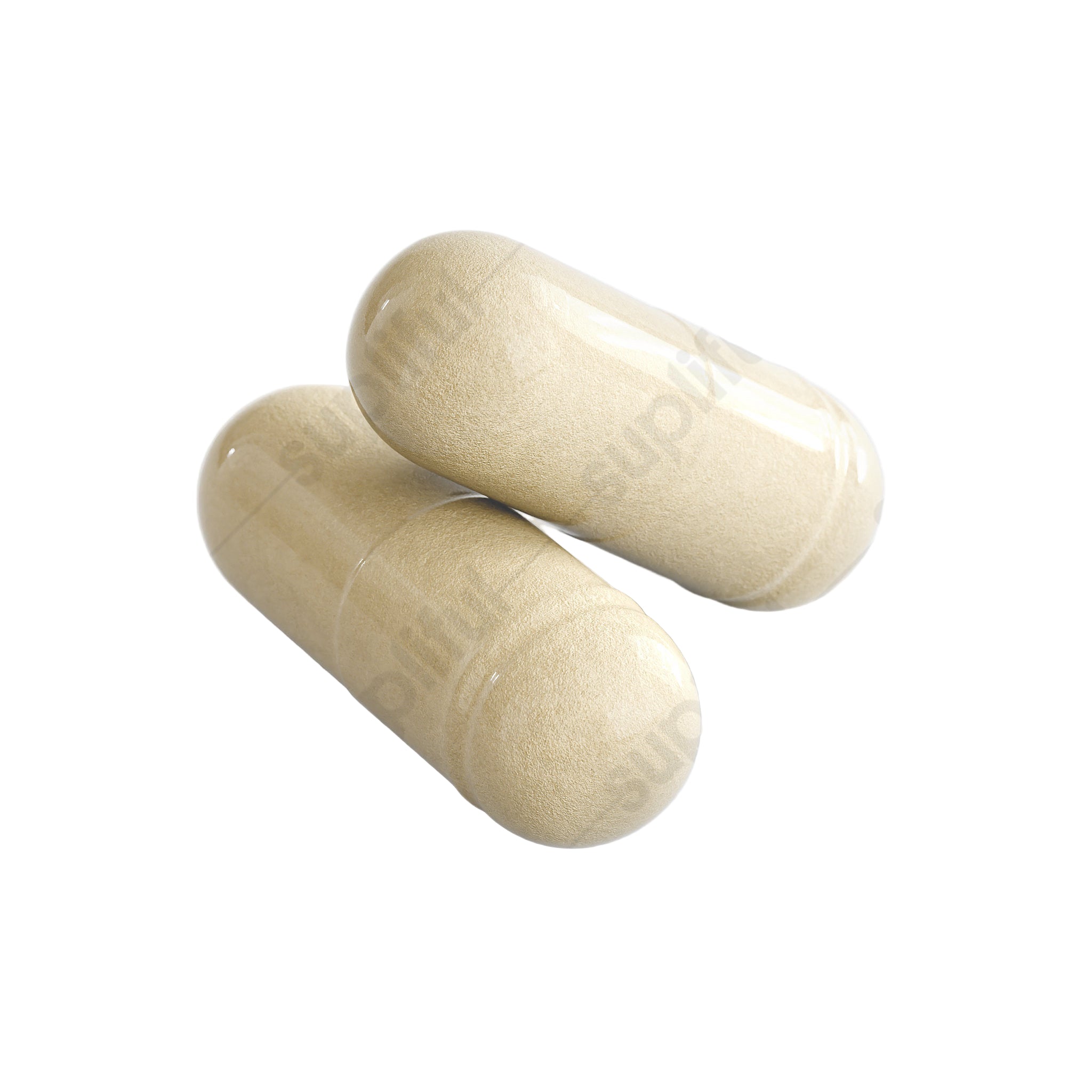 Gut Health