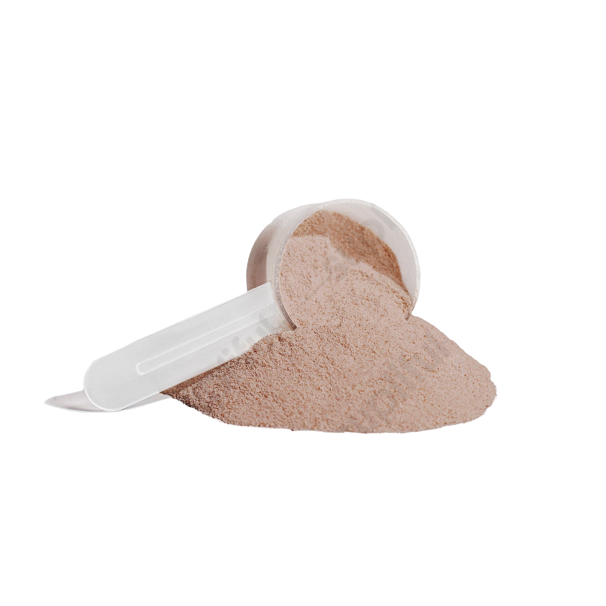 Plant Protein (Chocolate)